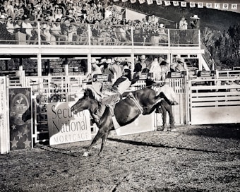 A rodeo scene featuring a cowboy riding a bucking horse. The horse is in mid-air, illustrating the dynamism and intensity of the moment. A large crowd of spectators fills the stands, watching the event with interest. There are multiple signs in the background advertising companies affiliated with the rodeo.
