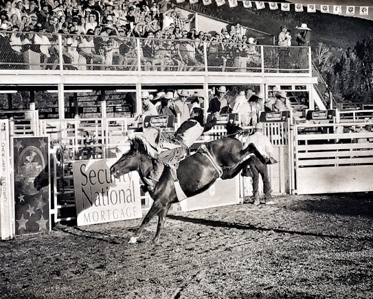 A rodeo scene featuring a cowboy riding a bucking horse. The horse is in mid-air, illustrating the dynamism and intensity of the moment. A large crowd of spectators fills the stands, watching the event with interest. There are multiple signs in the background advertising companies affiliated with the rodeo.