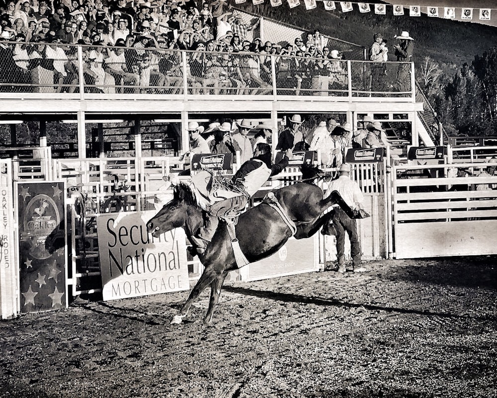 grayscale photo of rodeo show