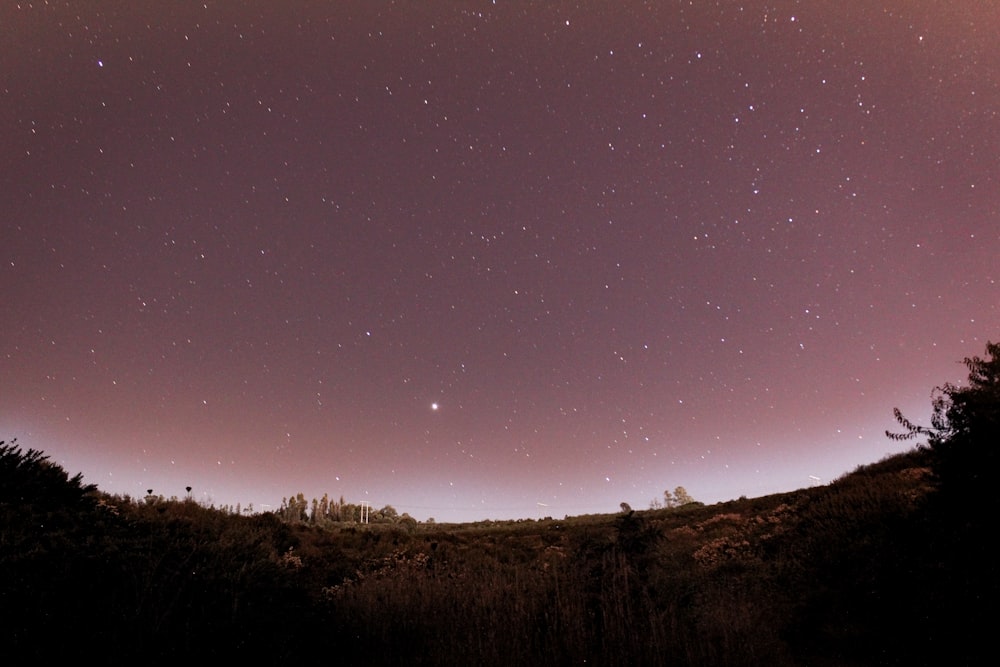 high exposure photography of starry sky at night