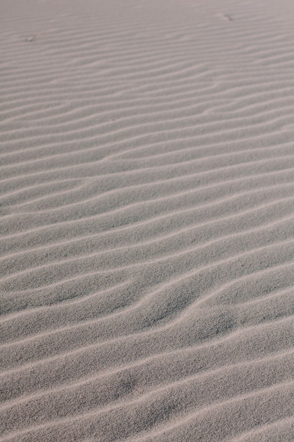 sand wave formations