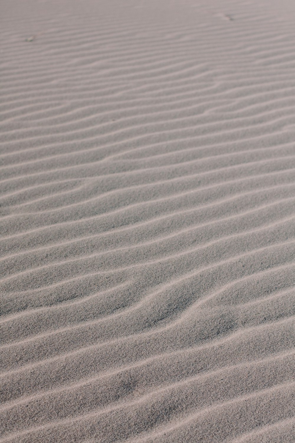 砂の波の形成