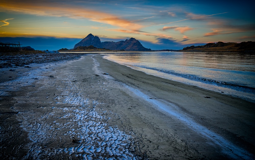 seashore during golden hour