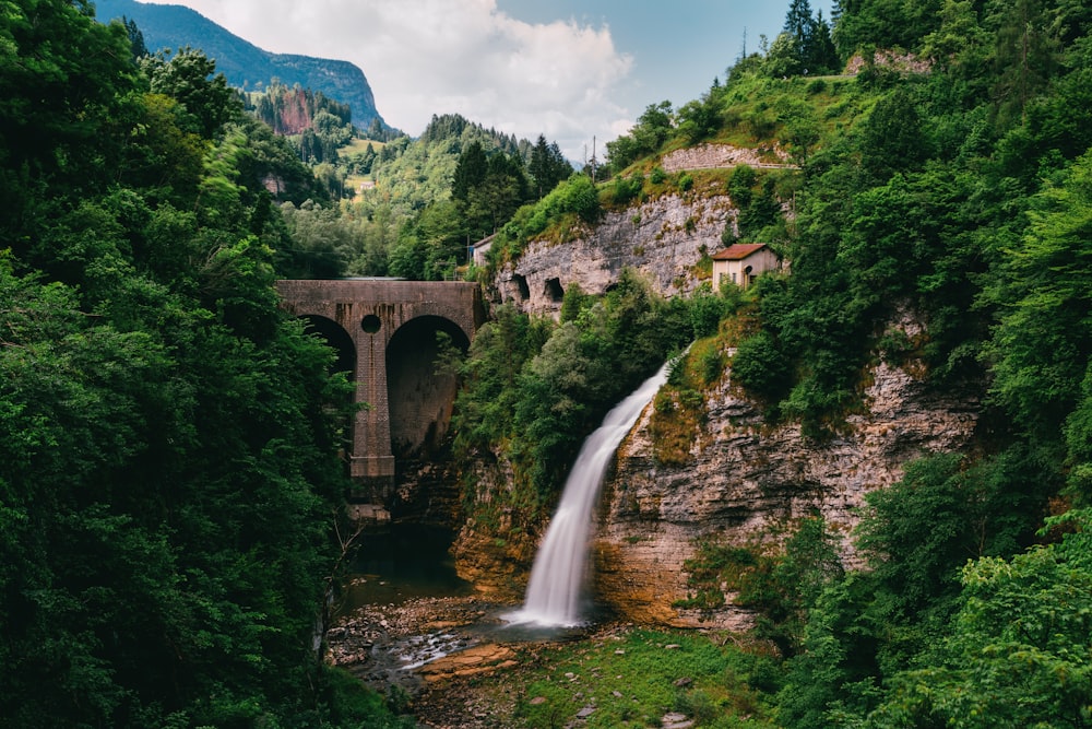 Wasserfontäne in der Nähe der Betonbrücke und tagsüber von Bäumen umgeben