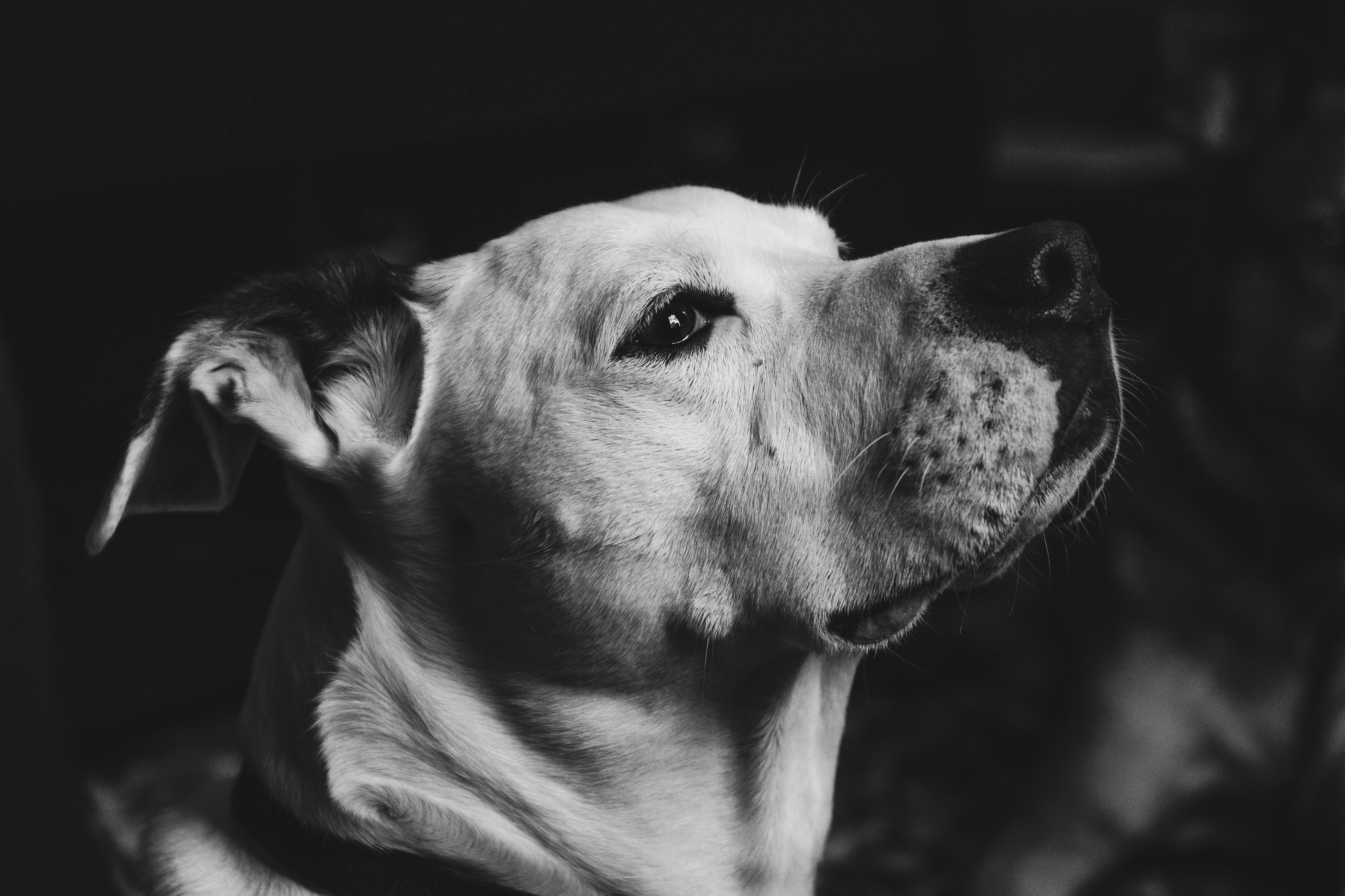 Photo by hayespotter