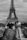 Couple sightseeing in front of the Eiffel Tower in Paris