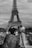 Couple sightseeing in front of the Eiffel Tower in Paris