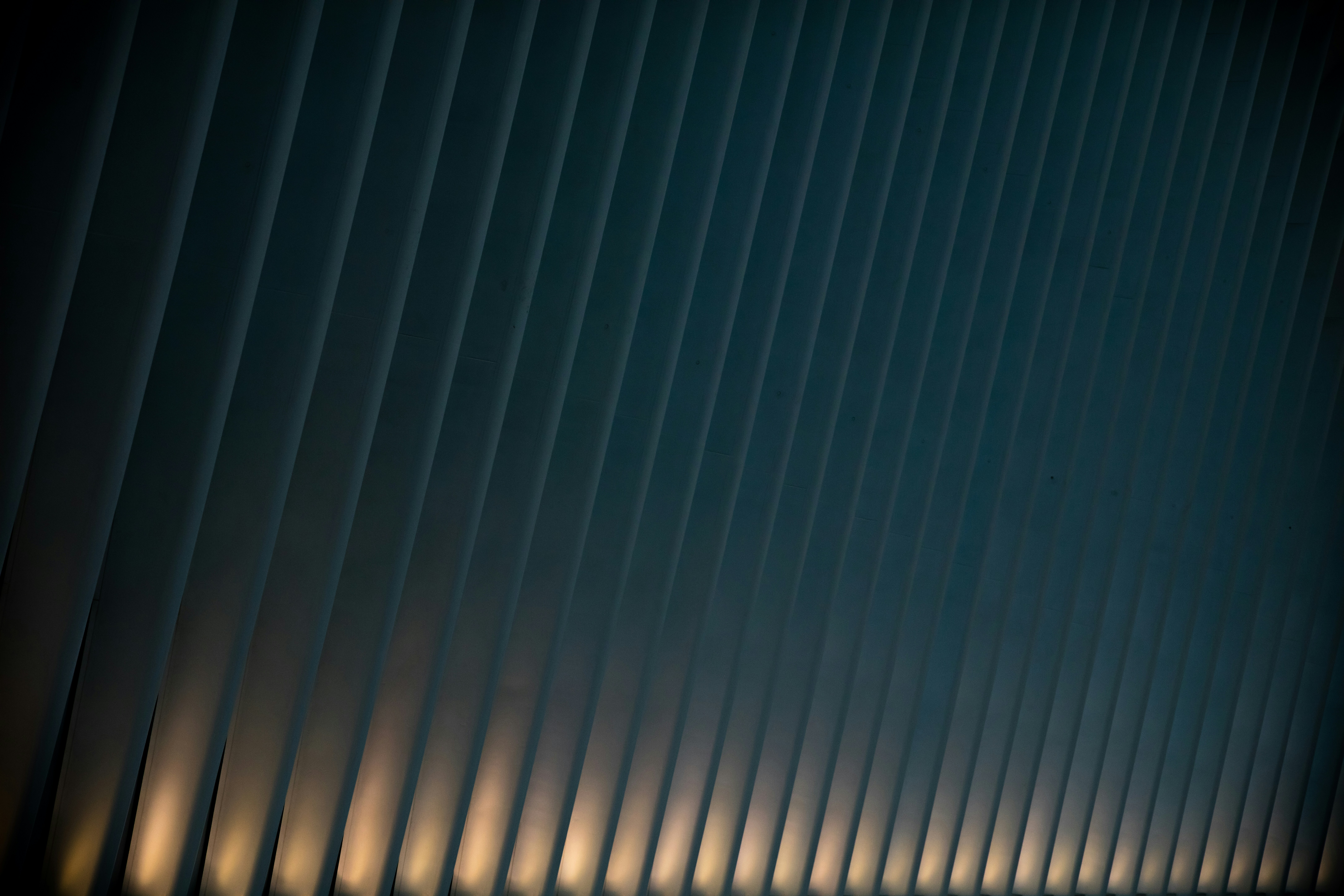 Photo by worldsbetweenlines