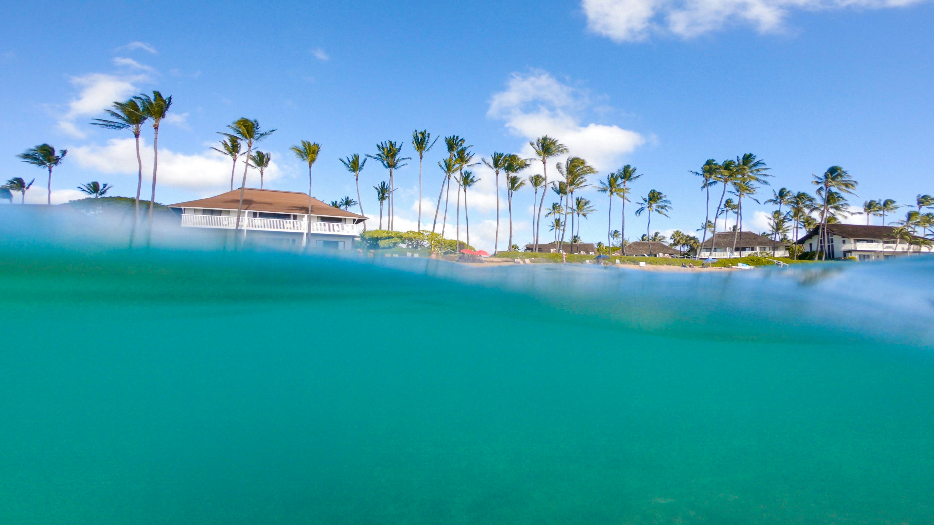 Swaying to the Exotic Beats: Experience the Tropical Music Extravaganza by European DJ Duo Copamore