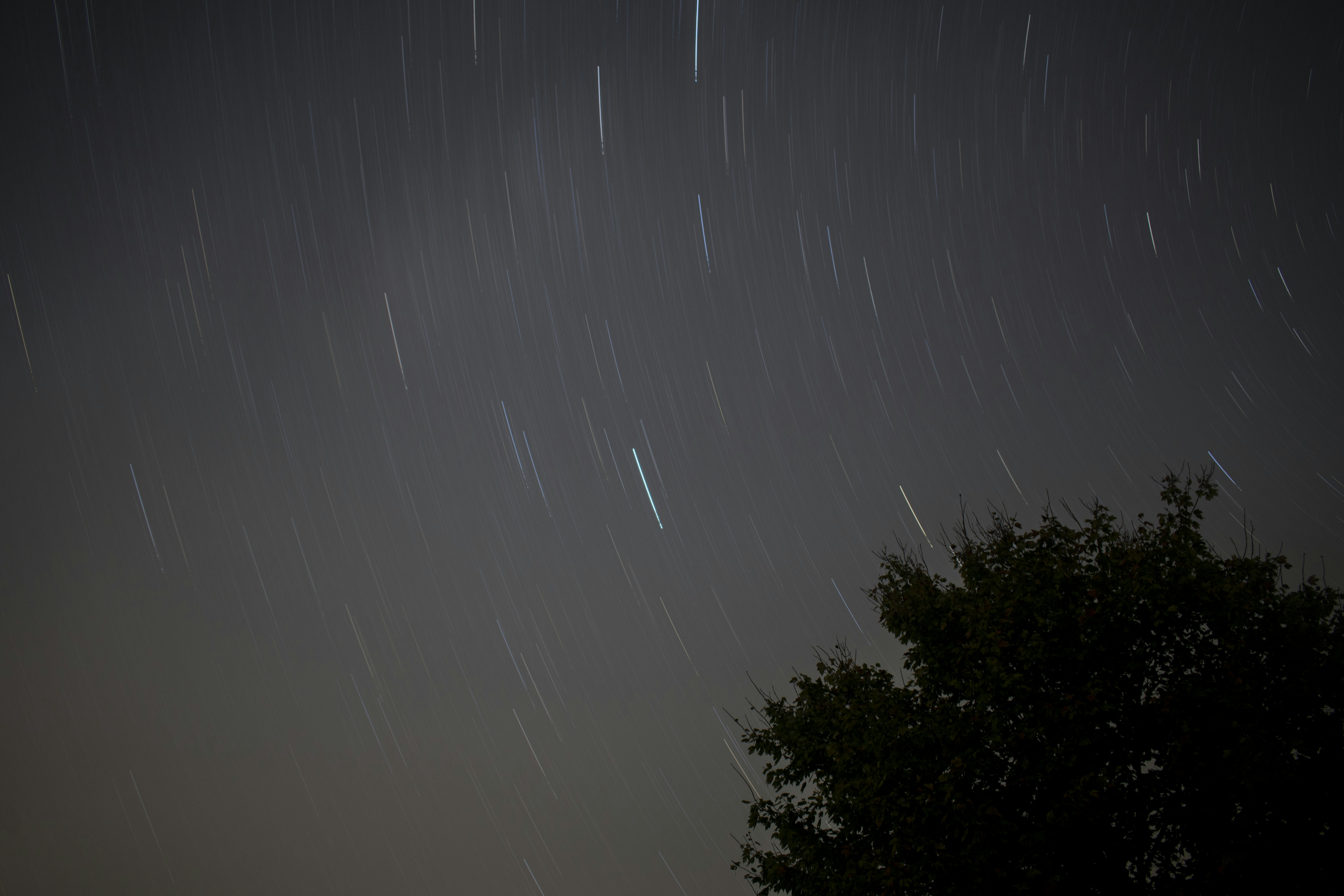 Photo by tylerdaviaux