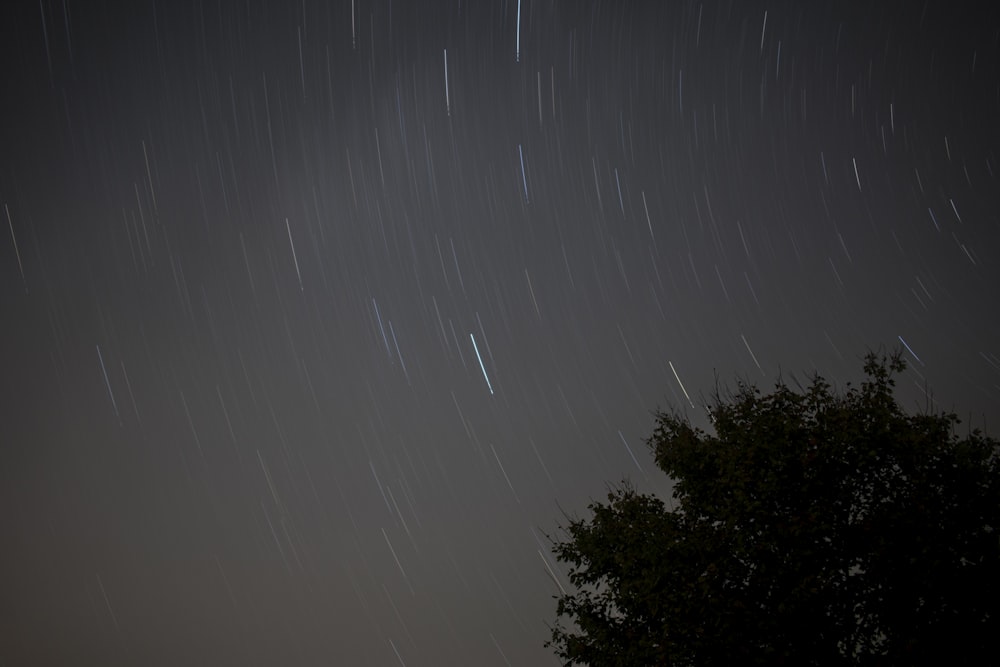 timelapse photography of stars