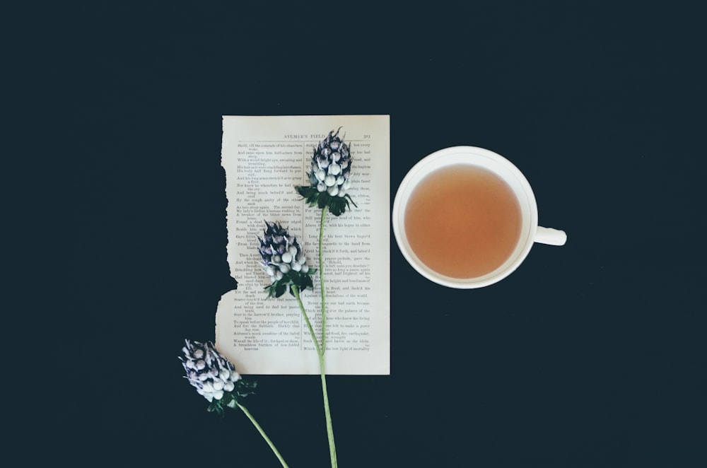 taza de té de cerámica blanca junto a flores blancas