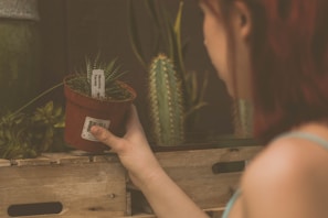 A person with reddish-brown hair is holding a small potted succulent plant labeled with a white tag. The plant is in a red pot, and the person's hand is visible as they place or take the pot from a wooden crate. In the background, there are other green plants, including a tall cactus, enhancing the natural and relaxed setting.