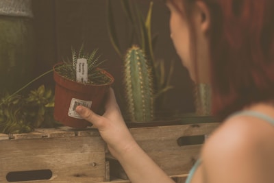 A person with reddish-brown hair is holding a small potted succulent plant labeled with a white tag. The plant is in a red pot, and the person's hand is visible as they place or take the pot from a wooden crate. In the background, there are other green plants, including a tall cactus, enhancing the natural and relaxed setting.