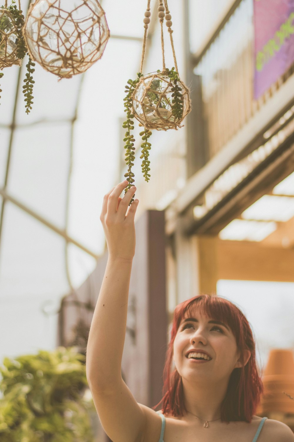 personne tenant une plante suspendue verte