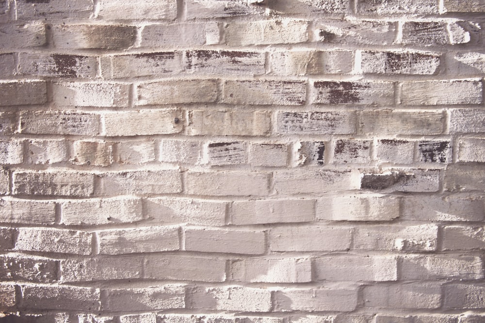 gray concrete wall bricks