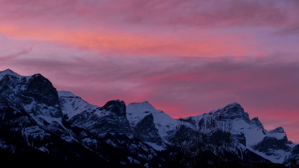 snow covered mountains