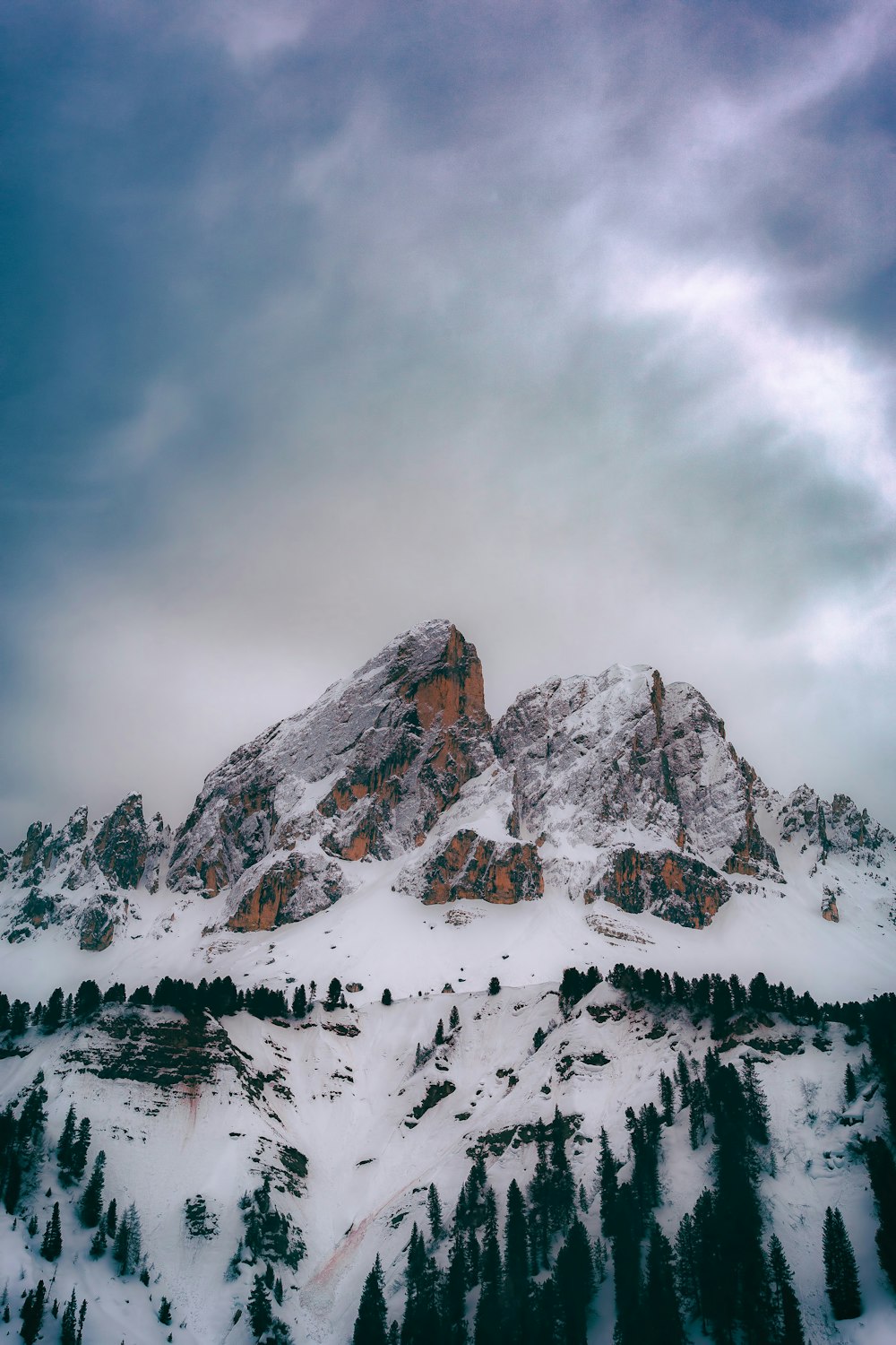 Kiefernwald in Bergen unter weißem Himmel Naturfotografie