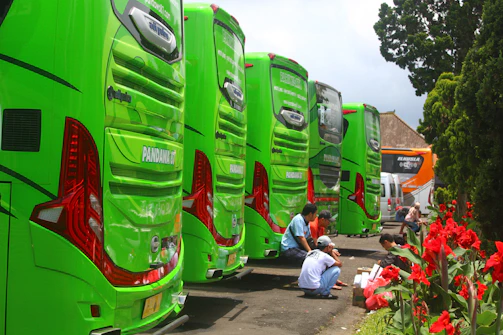 Community event with families enjoying a day near geltona linija buses.