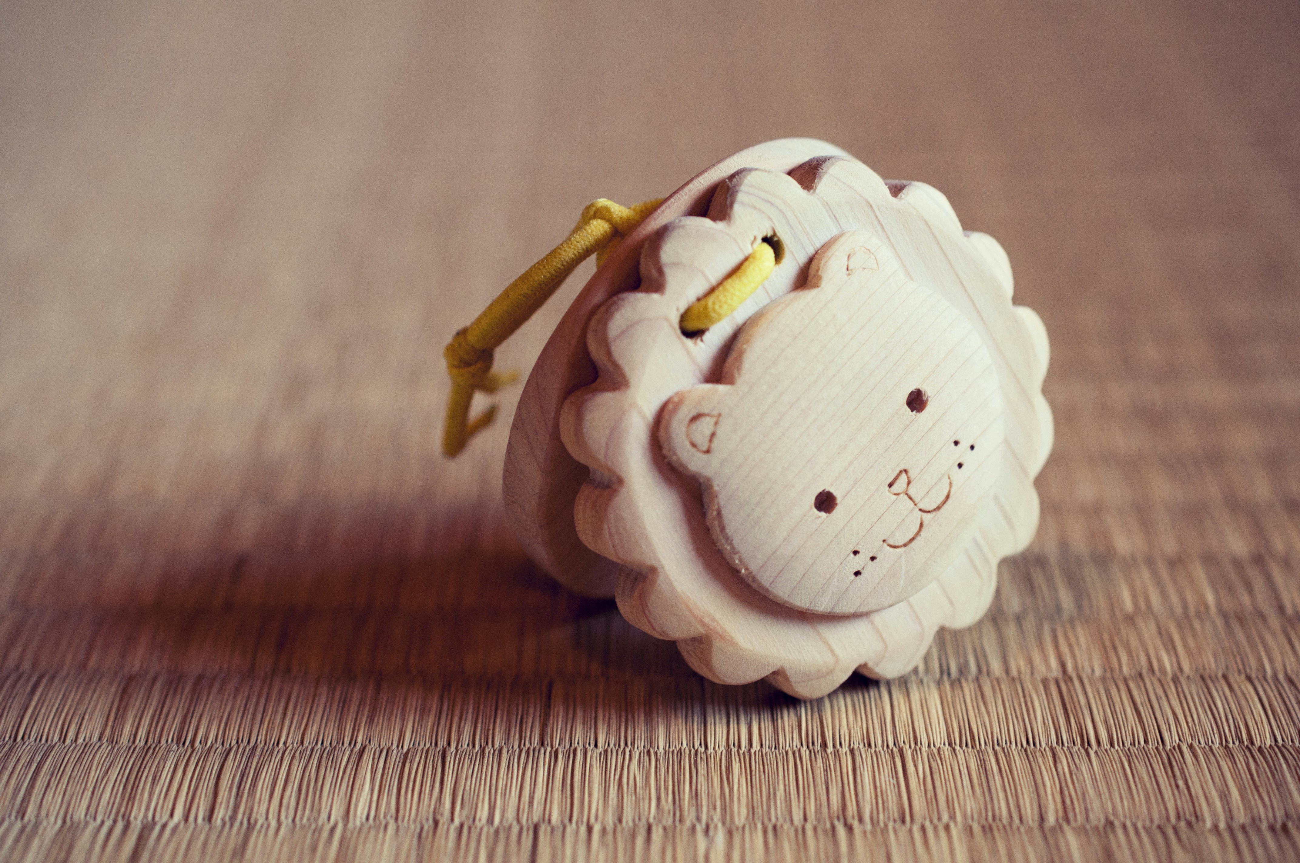 Natural Montessori Sensory Toys