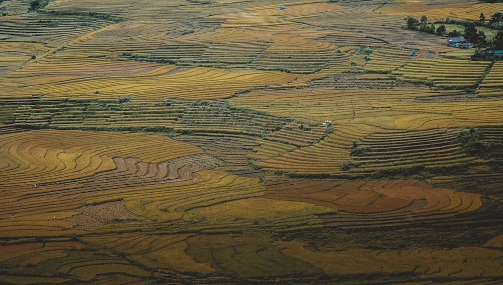 aerial photography of land formation at daytime