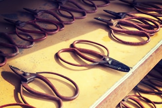 Several old, rusted pruning shears are arranged on a wooden surface. The shears have a brown and red patina, and they cast shadows indicating the presence of sunlight.