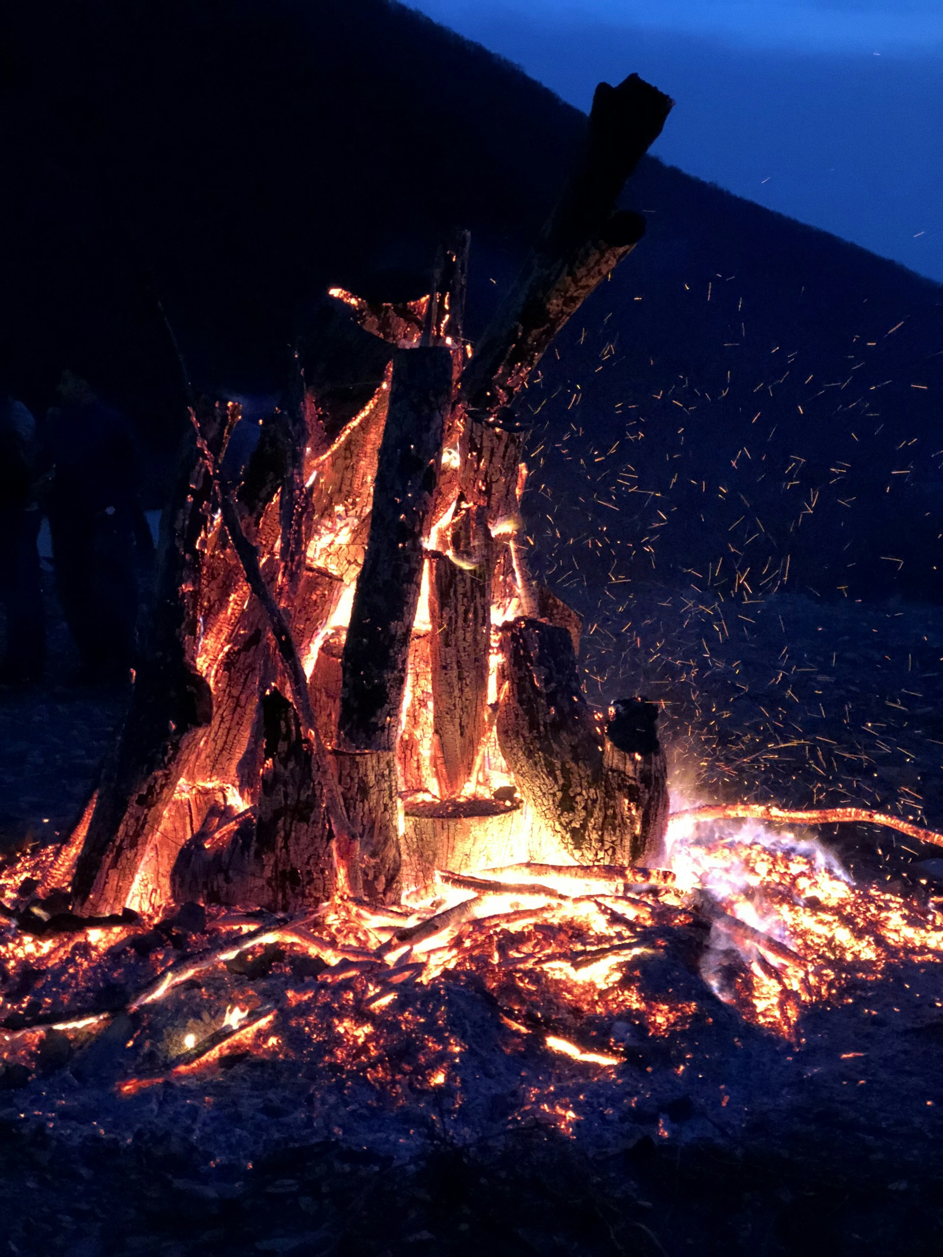 A peaceful bonfire gathering under a starlit sky, surrounded by tall pines and gentle mountain breeze.
