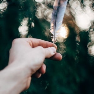 person holding white and brown feather on left hand