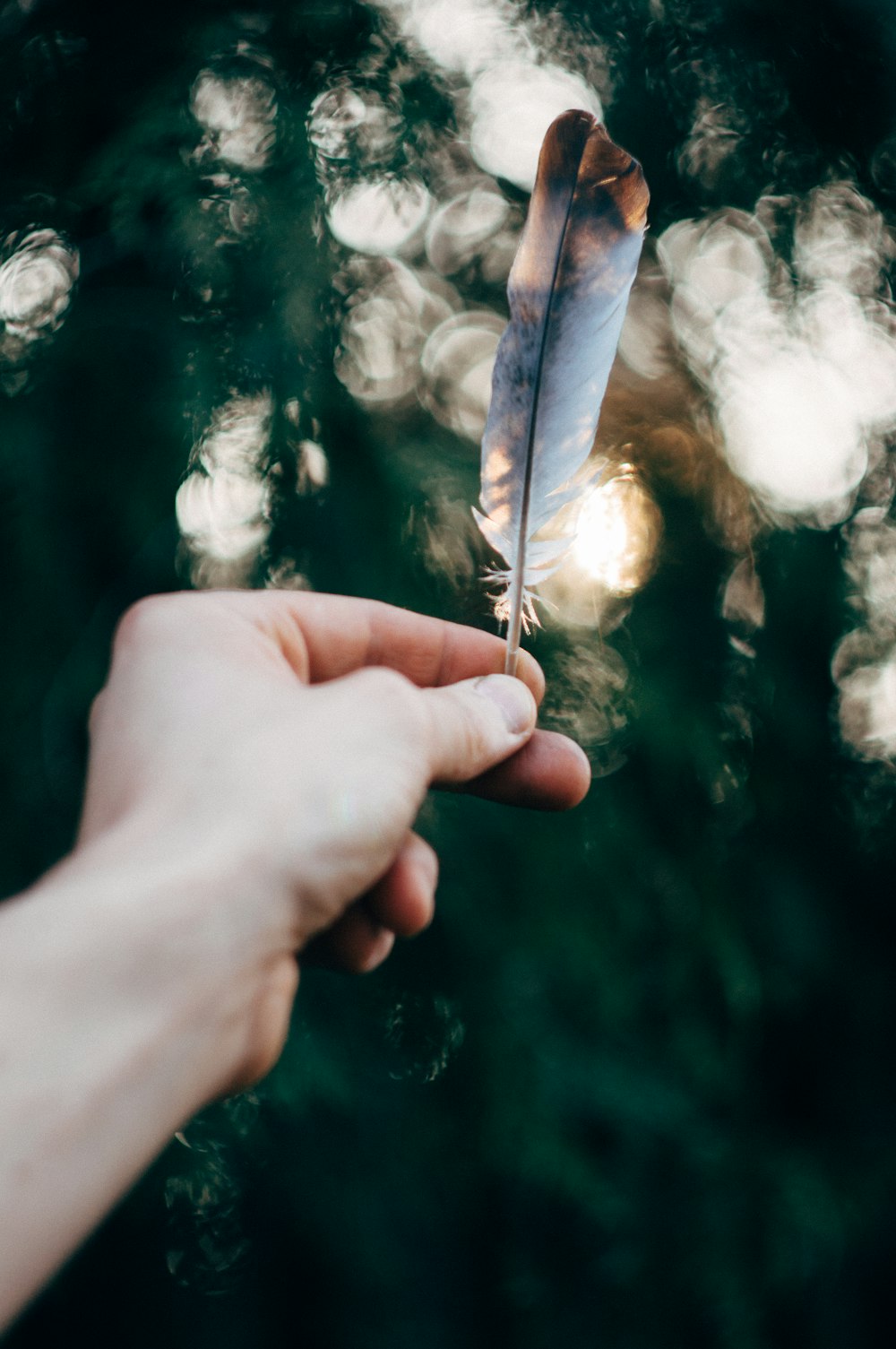 person holding white and brown feather on left hand