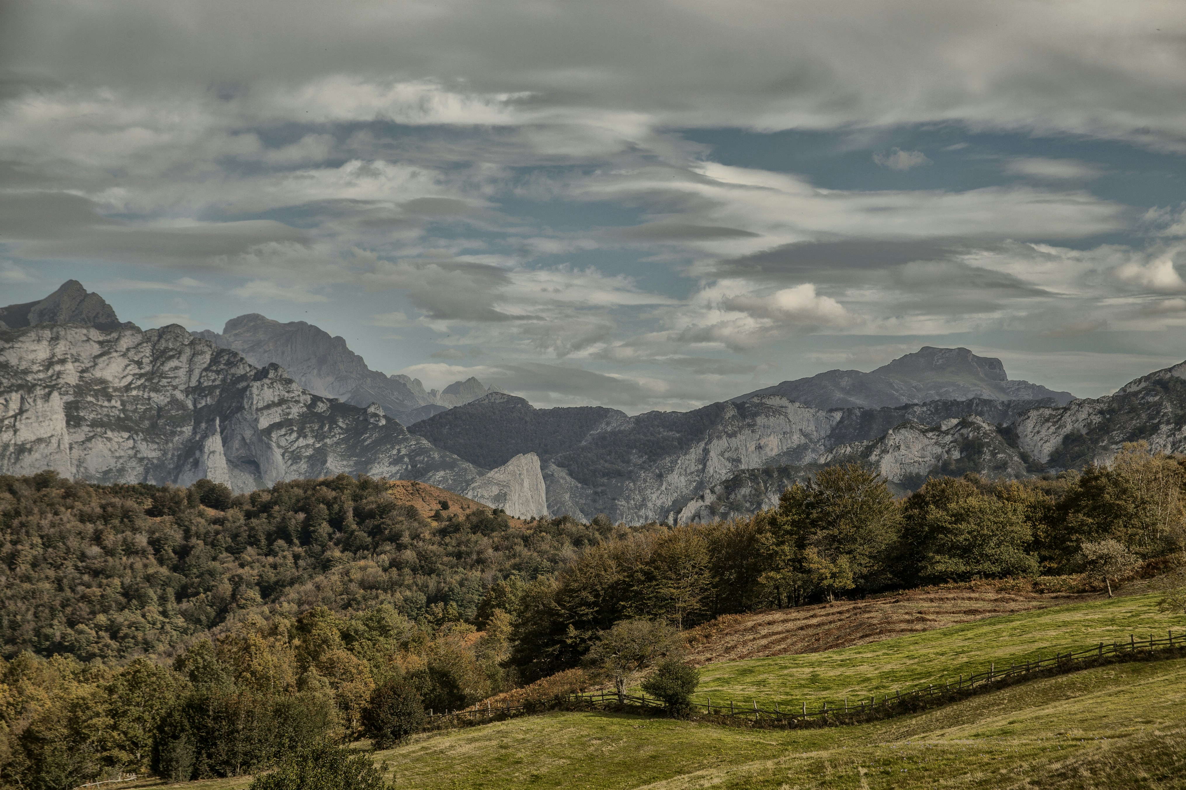 Landscape · forest on mountain under cloudy sky