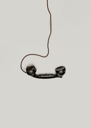 Toll-Free vs Local Number: Which Is Right for Your Business?