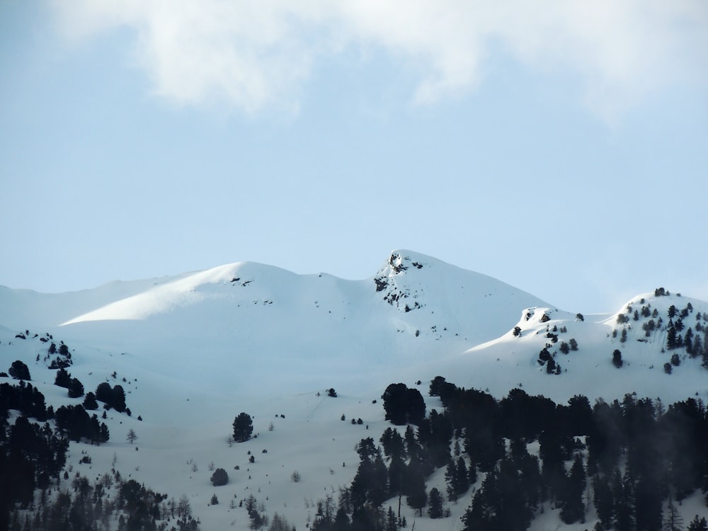 Montaña blanca bajo cielo despejado durante el día