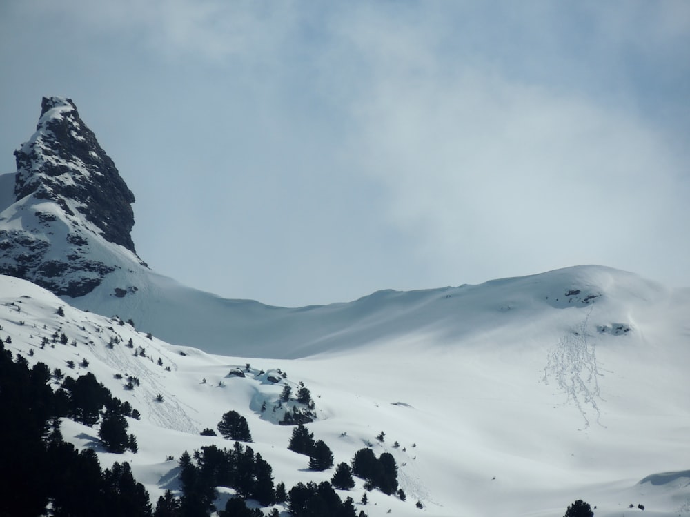 montanha coberta de neve