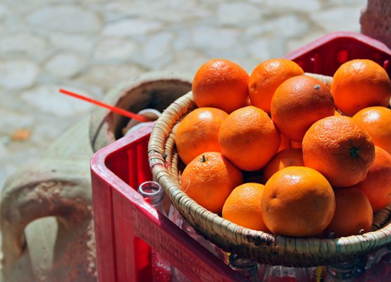 Oranges from the oasis gardens — Tozeur, Tunisia