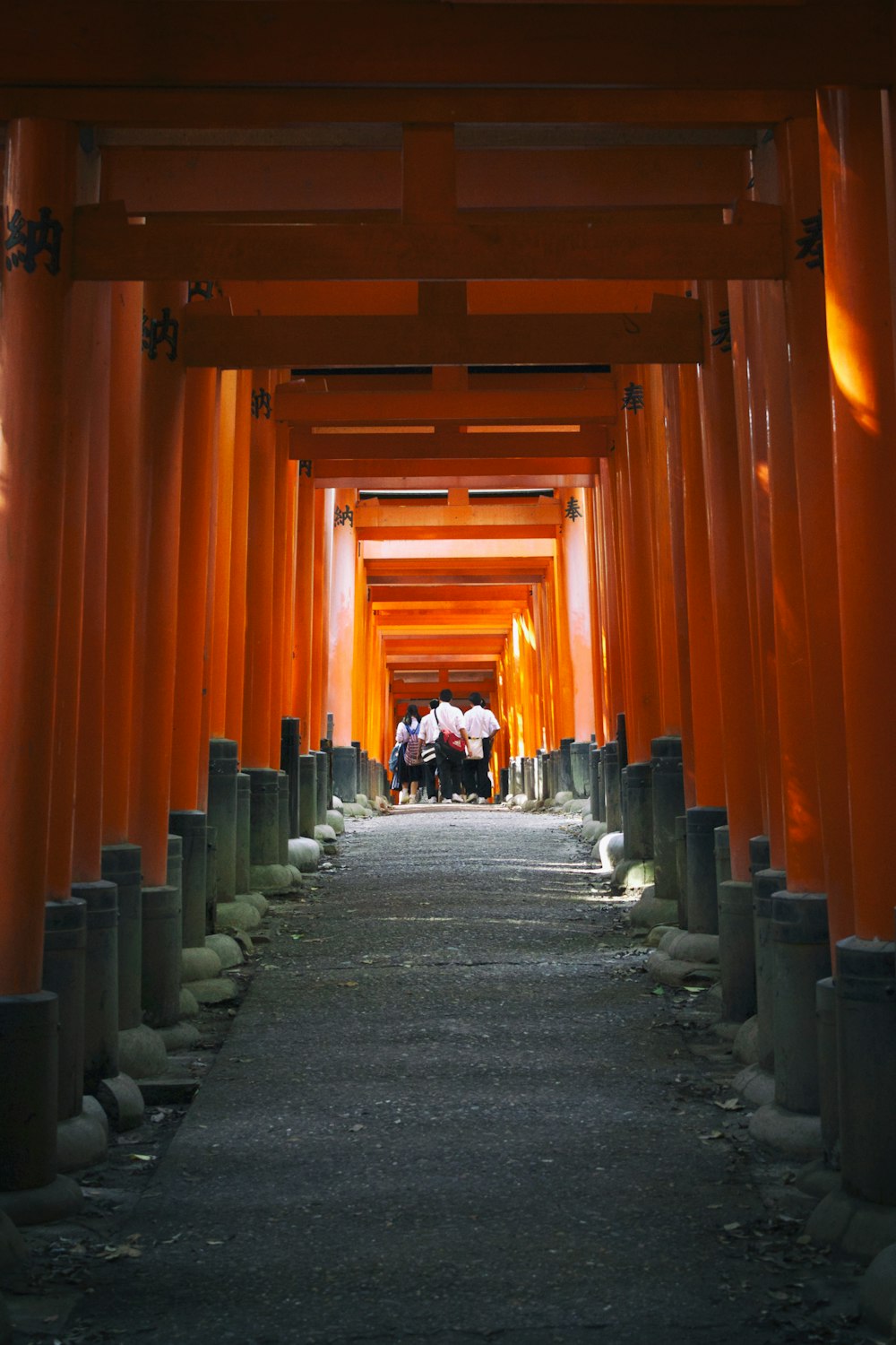 people walking on pathway