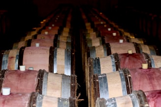 Rustic wooden barrels aging Primitivo wine in a sunlit cellar.