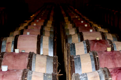 Rows of wooden barrels aging wine in a softly lit cellar.