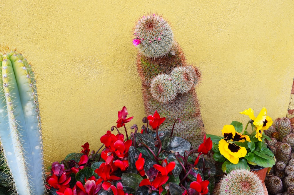 assorted-color of plants