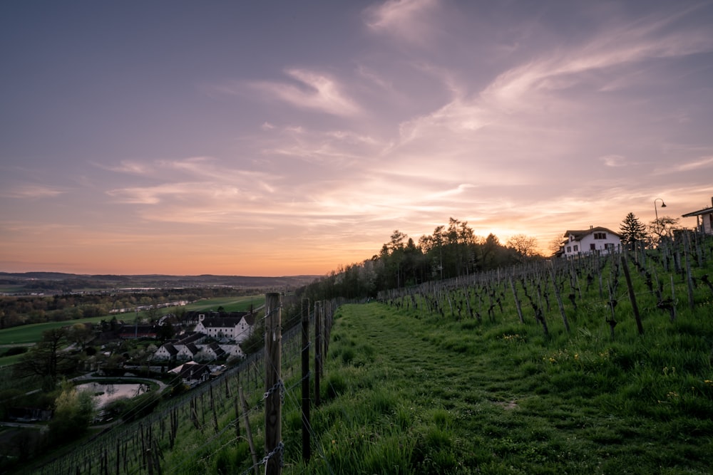 a field with a fence and houses in the distance