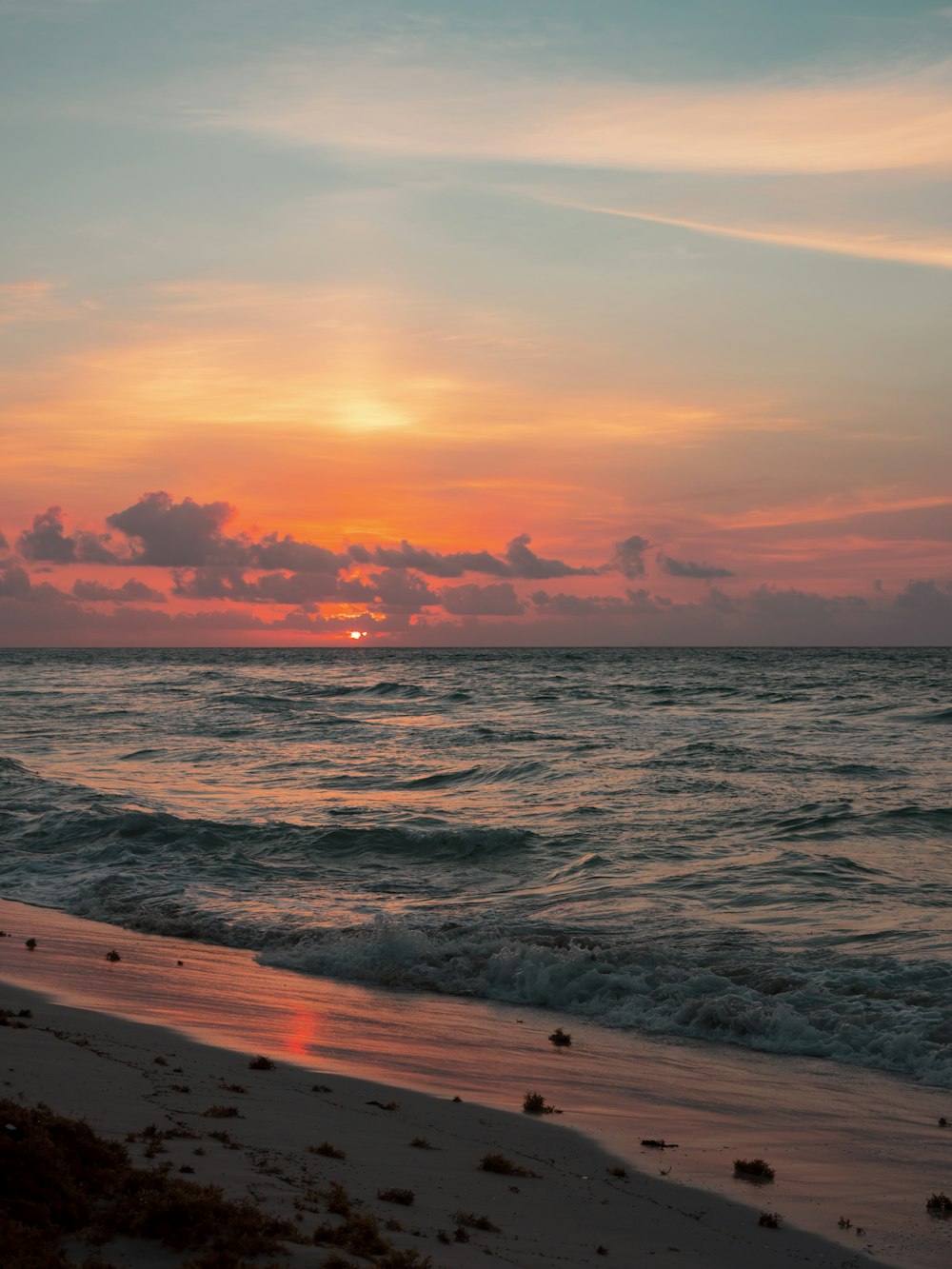 shore near ocean at golden hour