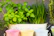A charming herb container with fresh green plants placed by a kitchen window.