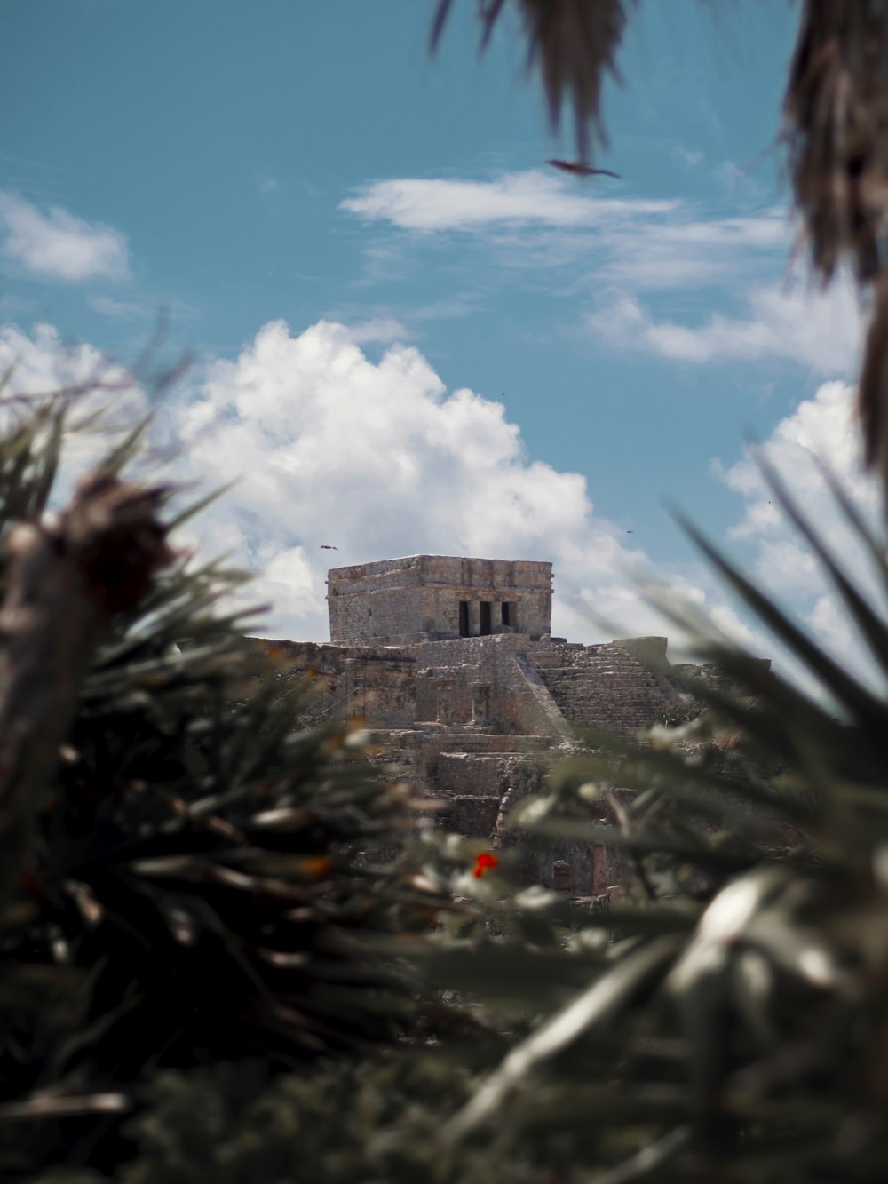 photo of brown concrete castel