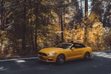 Ford Mustang on road surrounded by trees