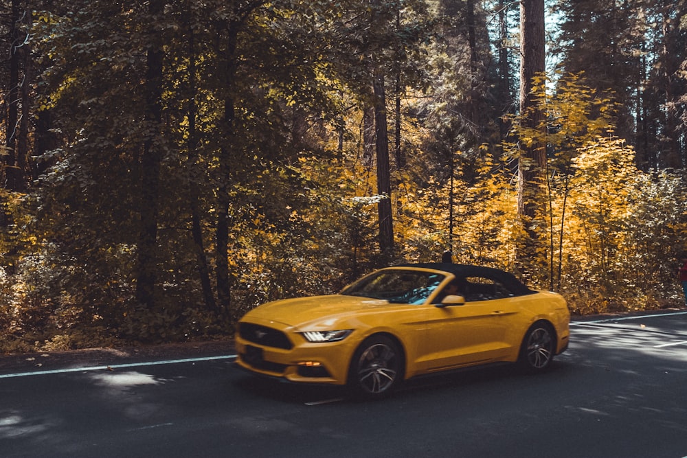 Ford Mustang auf der Straße, umgeben von Bäumen