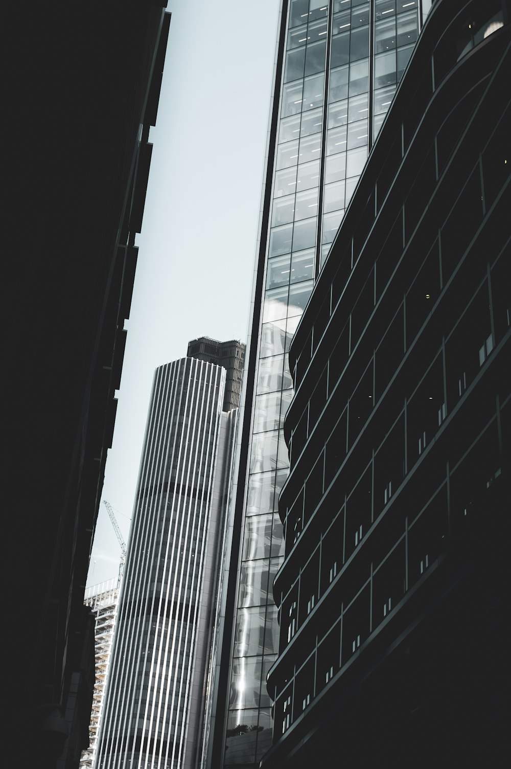 low angle photography of high-rise buildings