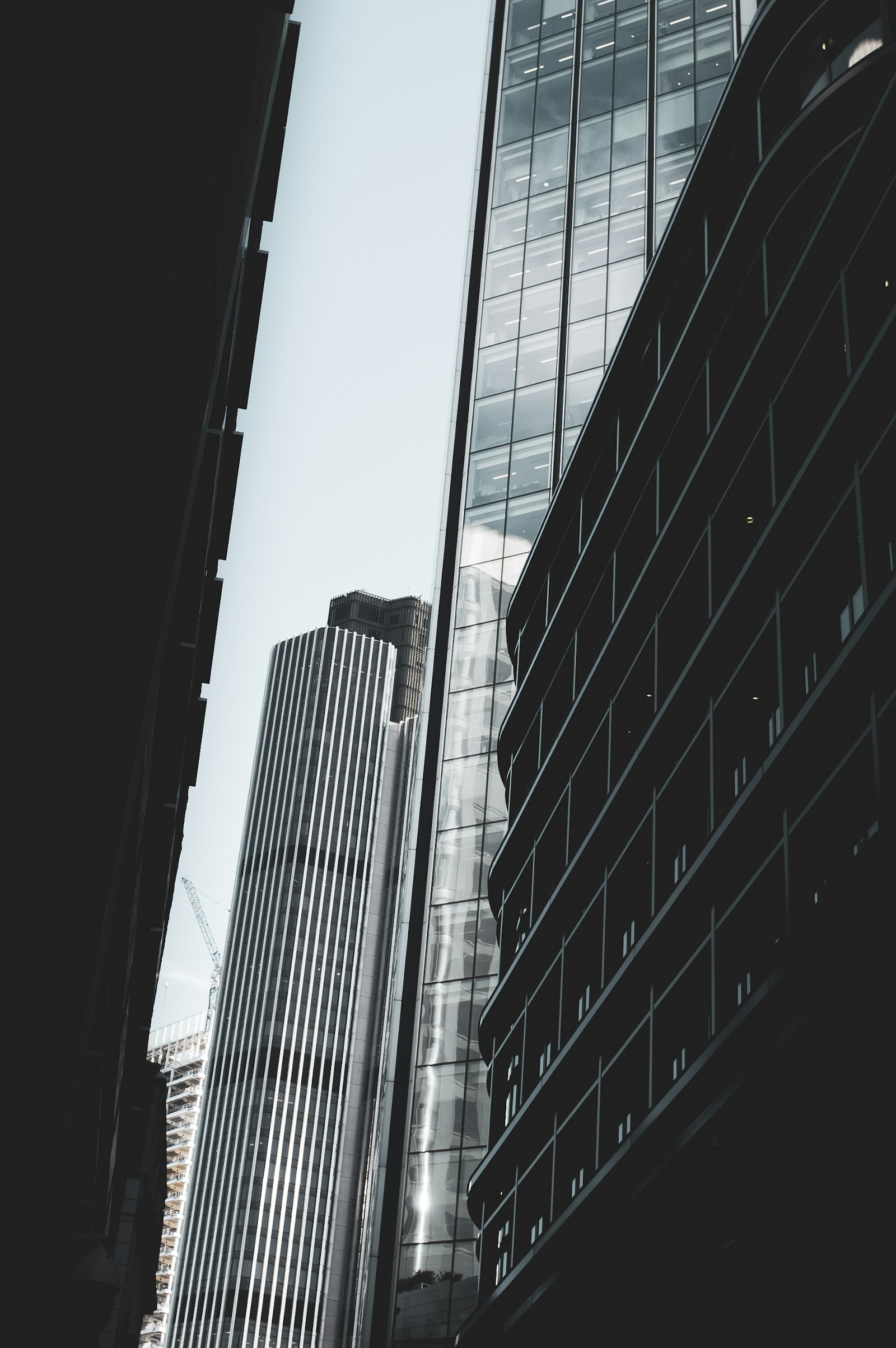 CRM implementation Netherlands