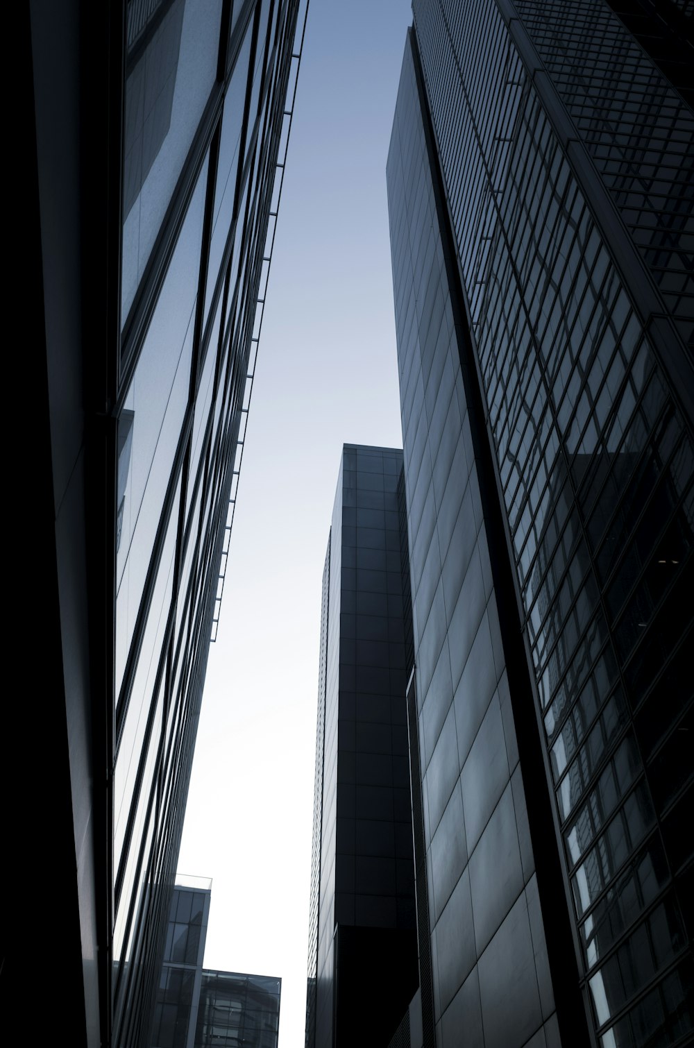 wormseye view of high-rise buildings