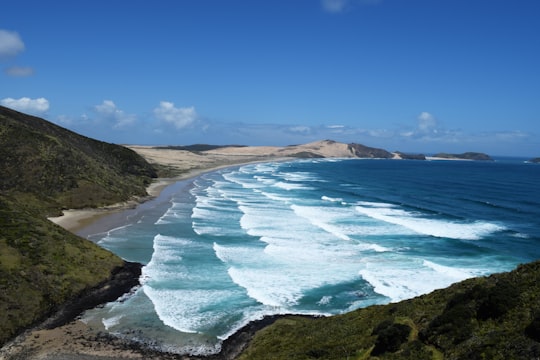 mountain near beach in Cape Maria Van Diemen New Zealand