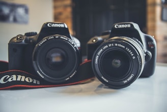 two Canon DSLR cameras side by side