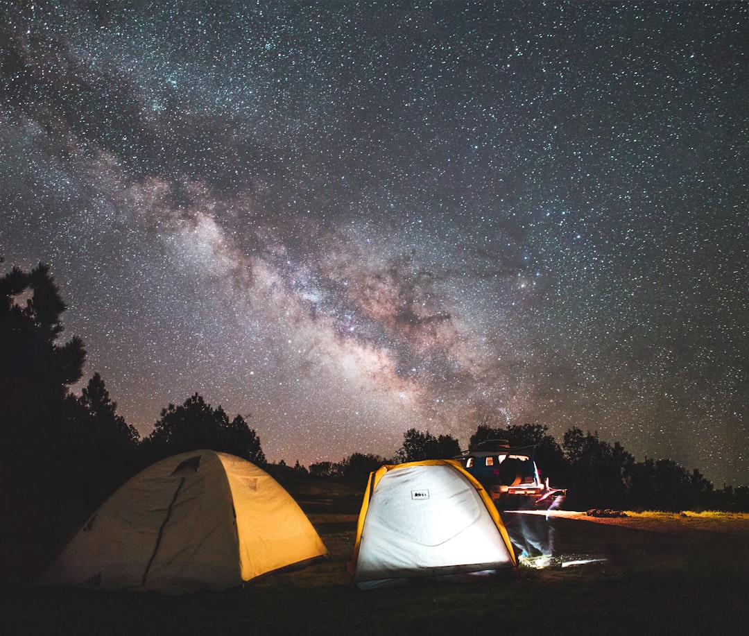 photo of brown lighted tent